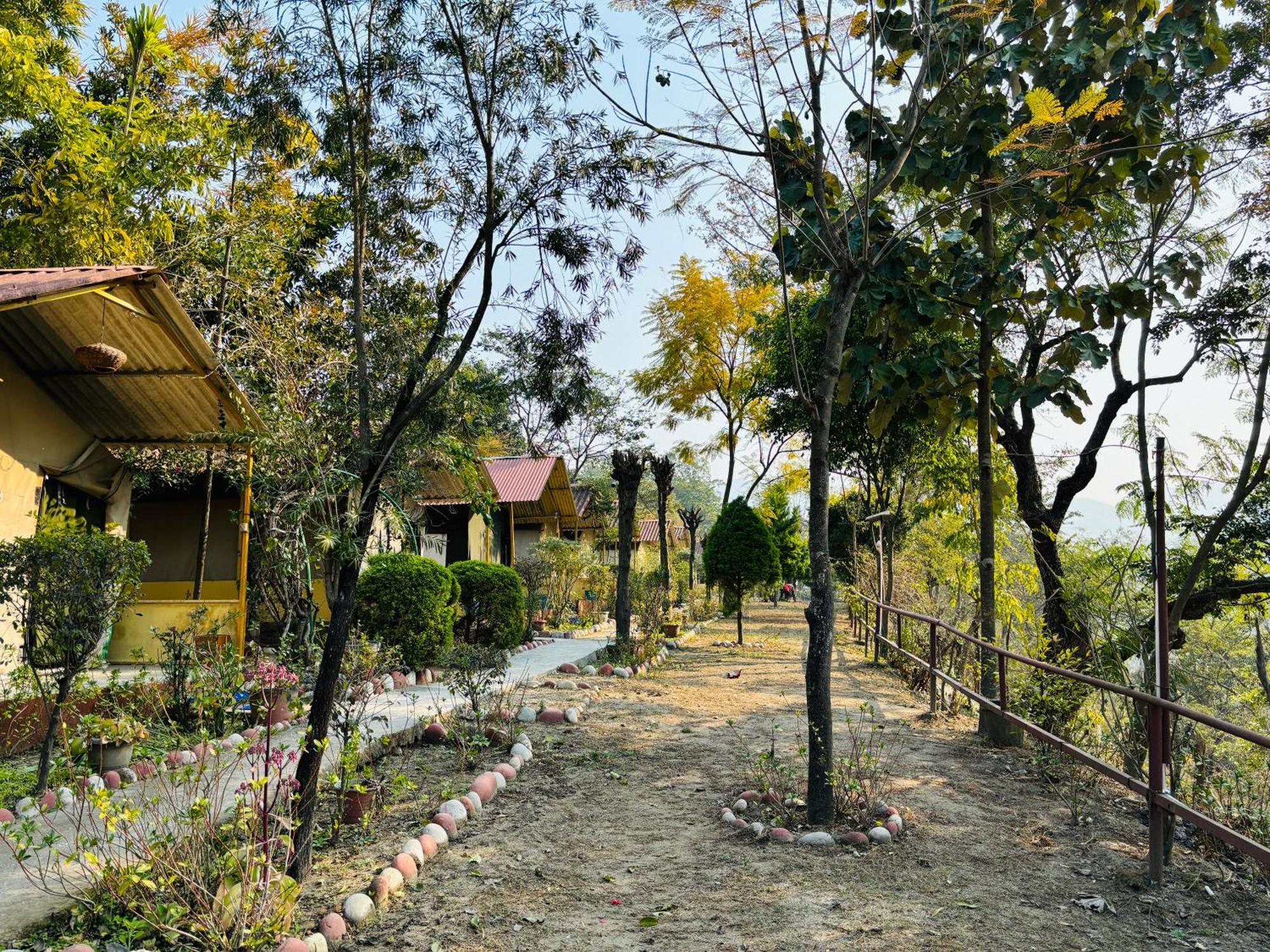 Hotel Camp High 5 Jayalgarh à Dāngchura Extérieur photo